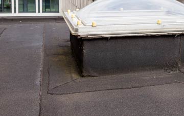 disadvantages of Glenavy flat roofs