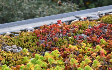 the cost of Glenavy green roof installation