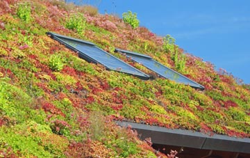 Glenavy living roof systems