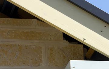 soffit repair Glenavy