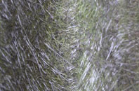 Glenavy fibreglass roof work